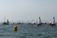 img_3153_55235894173_o