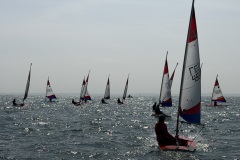 img_3179_55234842322_o