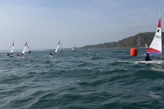 img_3206_55236153895_o