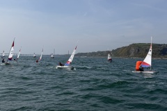 img_3208_55235894063_o