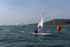 img_3209_55235894053_o