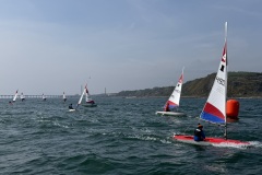 img_3210_55235894043_o