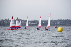 MG_0176-scaled