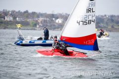 MG_1079-scaled