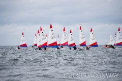 MG_1308-scaled